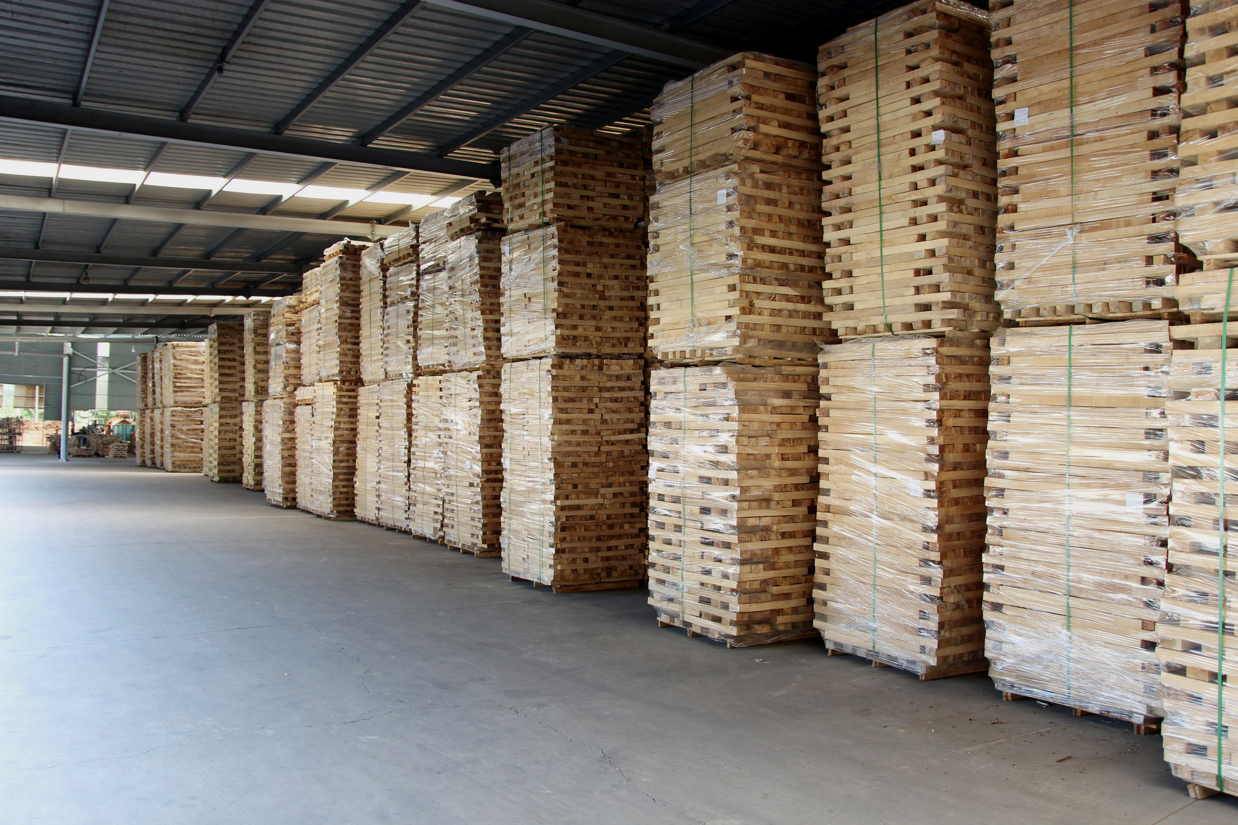 Ván cao su 38, 45, 50